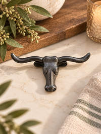 Longhorn Magnet