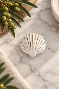 Seashell Magnet